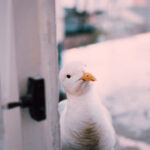 2025021期中国福利彩票开奖结果最新公布 83gw3r616