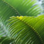 2025025期开奖结果最新公布,快来看看你中奖了吗? 9i3tcb8ftk